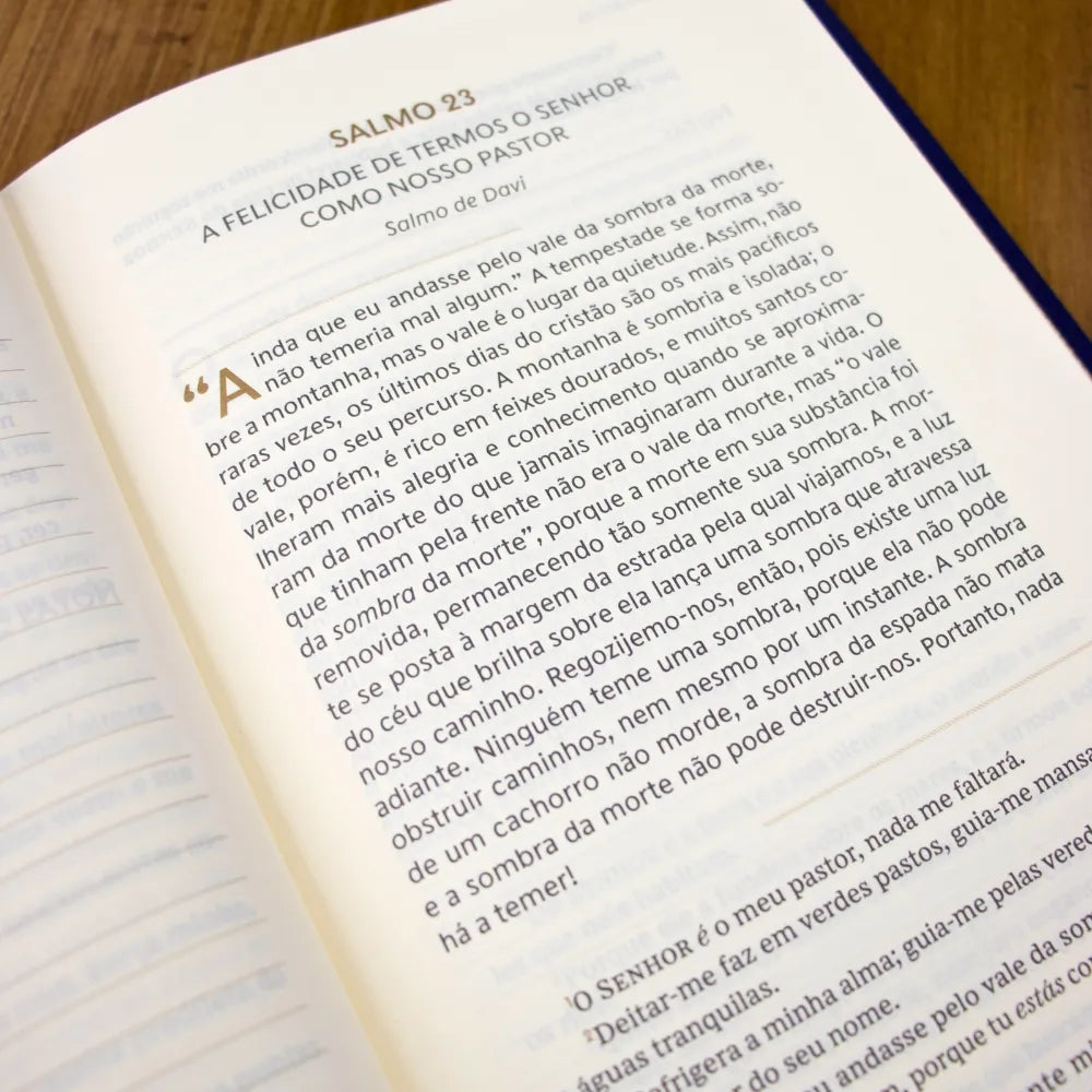 Devocional Spurgeon e os Salmos | Capa Dura com Tecido Azul