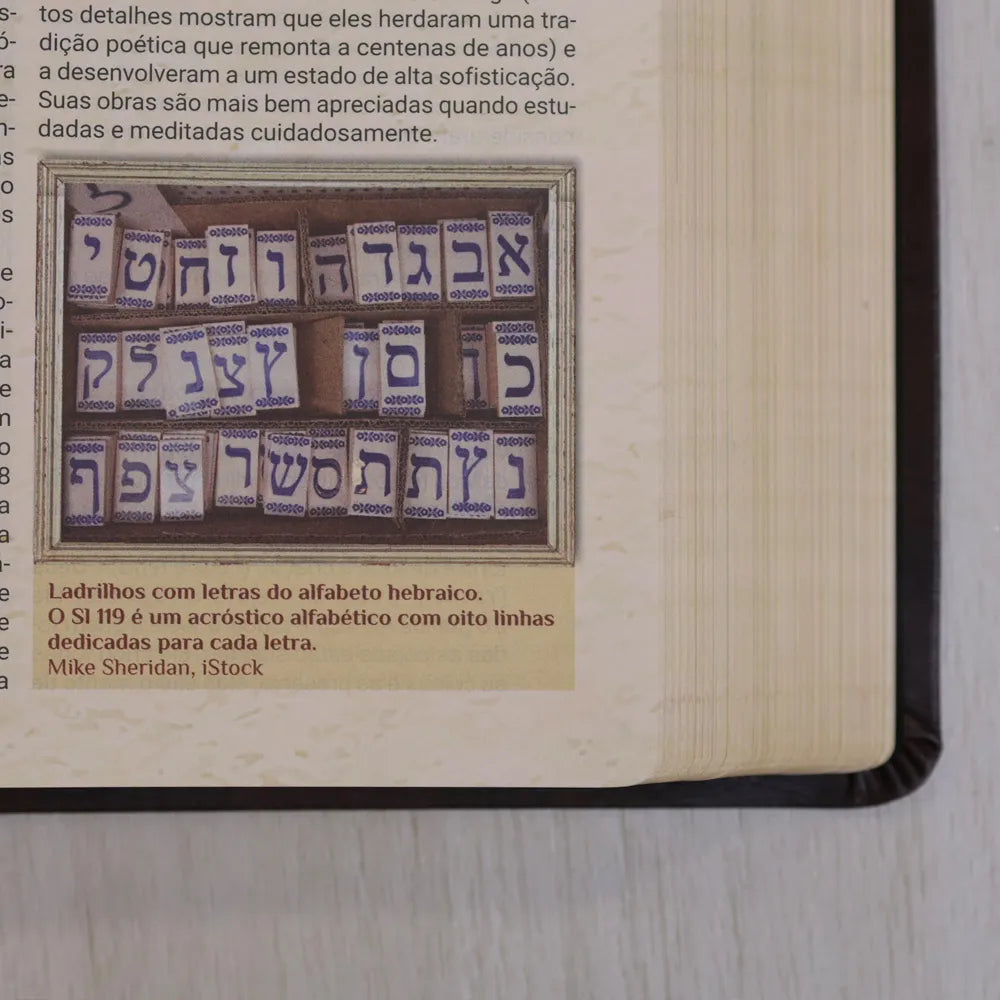 Bíblia de Estudo Igreja Primitiva NAA Capa Luxo Marrom ladrilho