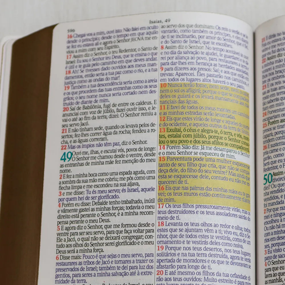 Bíblia Sagrada ARC Harpa Avivada e Corinhos Jumbo Capa Dura Pássaros texto