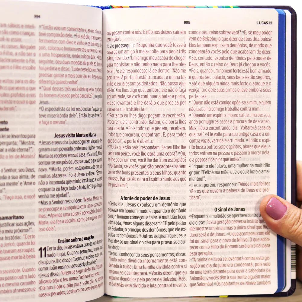 Bíblia Sagrada Lion Colors NVT Letra Grande Capa Dura letra