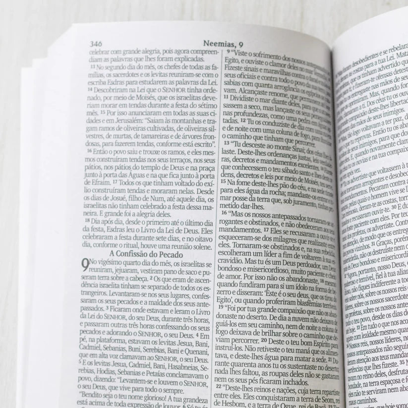 Bíblia Sagrada Lírios Letra