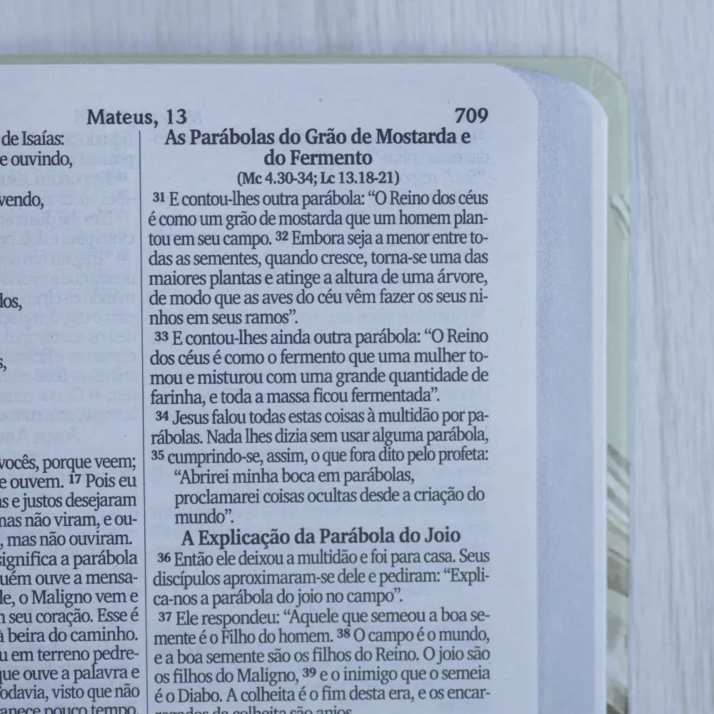 Bíblia Sagrada Lírios NVI Letra Maior Capa Dura letra