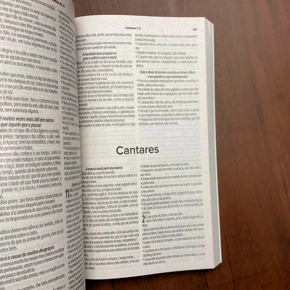 Bíblia Sagrada Salvos Pela Graça ARC Letra Normal Capa Brochura Cantares