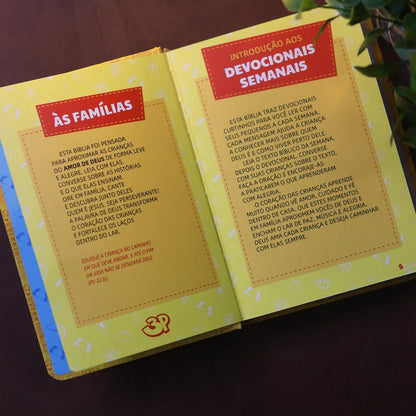 Bíblia Sagrada | NTLH | 3 Palavrinhas | Capa Dura Amarela