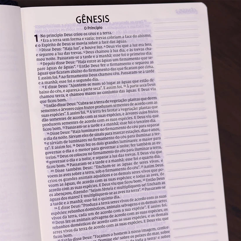 Bíblia Sagrada - Leitura Perfeita | Letra Grande | NVI | Espaço para anotações - Azul