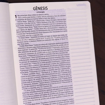 Bíblia Sagrada - Leitura Perfeita | Letra Grande | NVI | Espaço para anotações - Azul