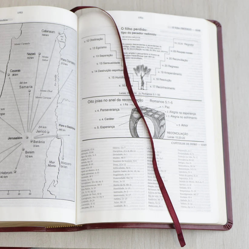 Bíblia Thompson de Estudo | AEC | Letra Grande C/ Índice | Capa Luxo Vinho