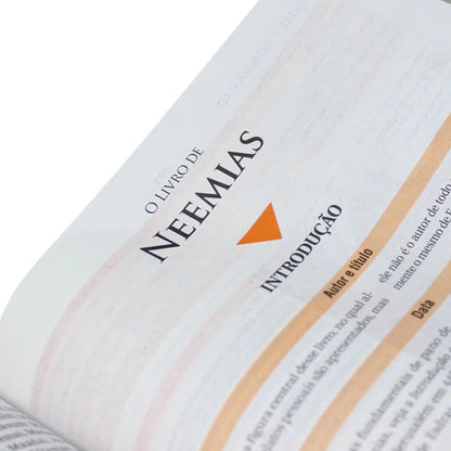 Bíblia de Estudo NAA | NAA | Letra Normal | Capa Flexível Linho