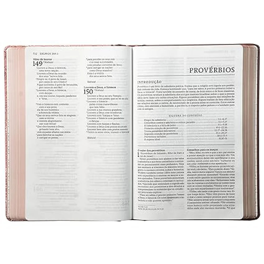 Bíblia Sagrada Católica | NTLH | Letra Grande | Capa Dura Rosa com Lombada em Tecido