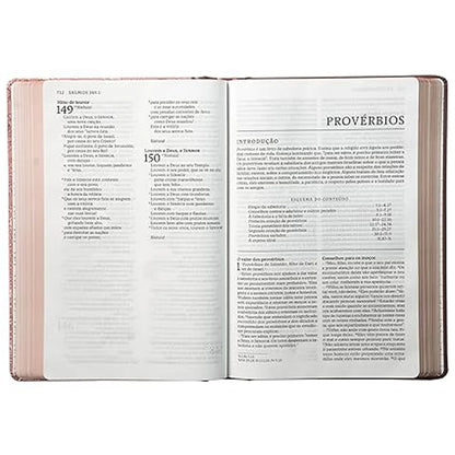 Bíblia Sagrada Católica | NTLH | Letra Grande | Capa Dura Rosa com Lombada em Tecido
