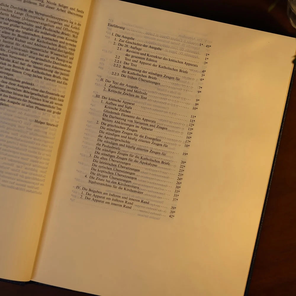 Novum Testamentum Graece | O Novo Testamento em Grego | Capa Dura Azul