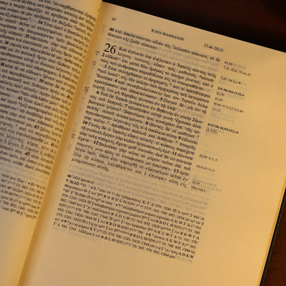 Novum Testamentum Graece | O Novo Testamento em Grego | Capa Dura Azul