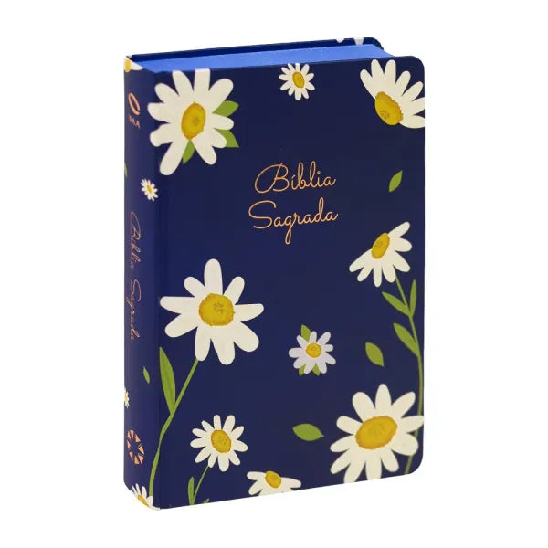 Bíblia Sagrada Grande Deus| NAA | Capa Dura Jornada