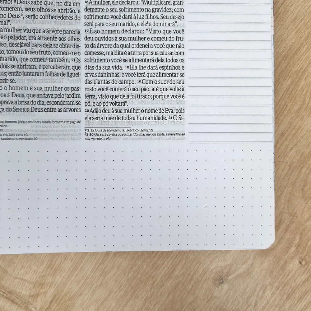 Bíblia Anote Espiral Pluma leve NVI Letra Grande Com Espaço Para Anotações letra
