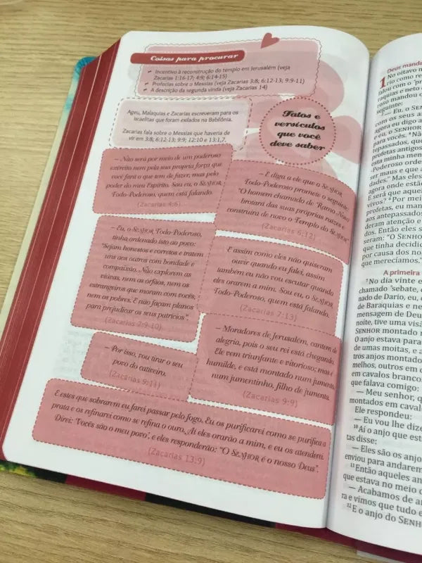 Bíblia da Garota Cristã NTLH detalhe