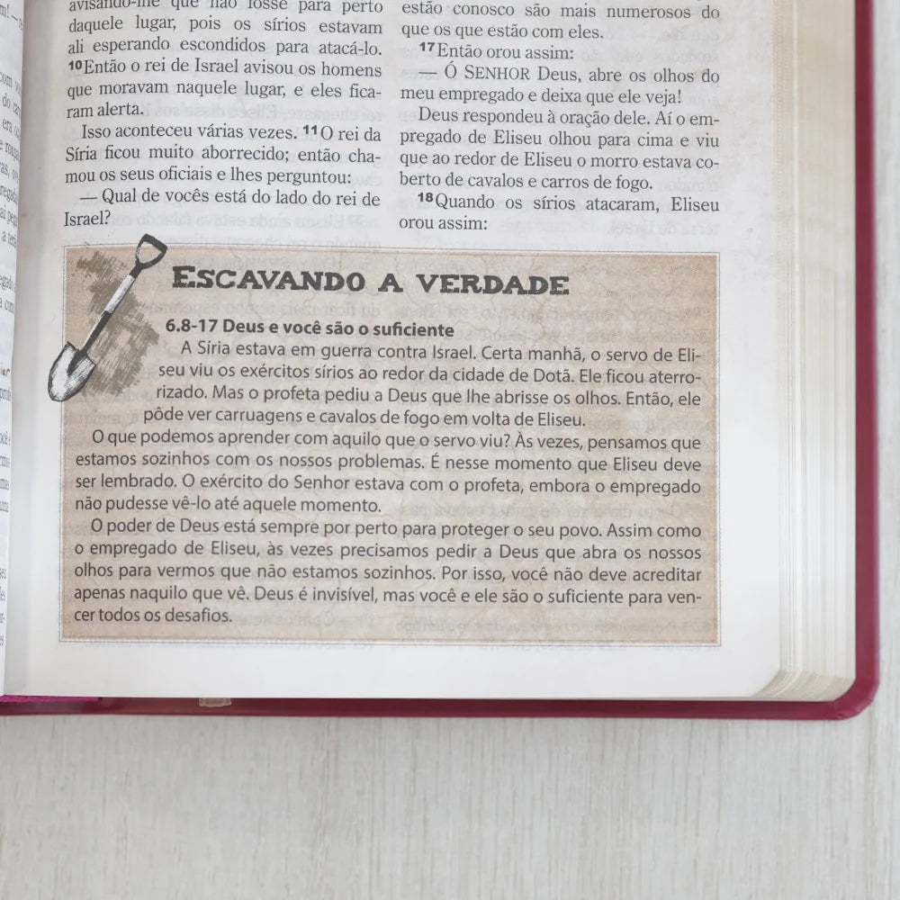 Bíblia das Descobertas para Adolescentes Letra Normal NTLH Capa Luxo Rosa Escavando