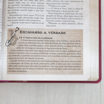 Bíblia das Descobertas para Adolescentes Letra Normal NTLH Capa Luxo Rosa Escavando