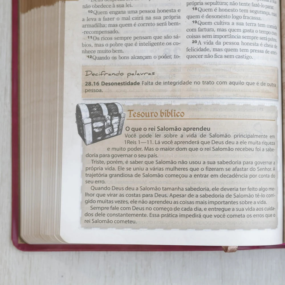 Bíblia das Descobertas para Adolescentes Letra Normal NTLH Capa Luxo Rosa Tesouro