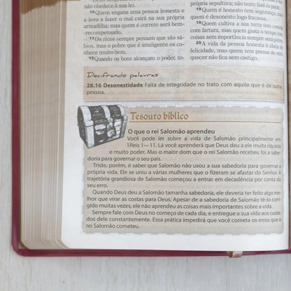 Bíblia das Descobertas para Adolescentes Letra Normal NTLH Capa Luxo Rosa Tesouro