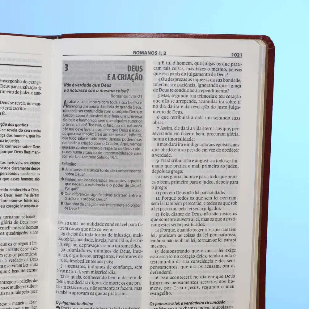Bíblia de Estudo Esperança A21 Letra Normal Capa Couro Simulado Letra
