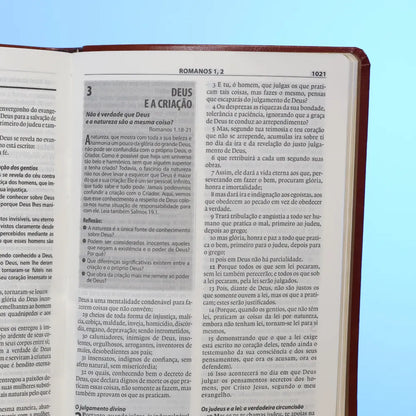 Bíblia de Estudo Esperança A21 Letra Normal Capa Couro Simulado Letra
