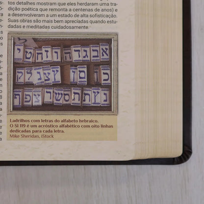 Bíblia de Estudo Igreja Primitiva NAA Capa Luxo Marrom ladrilho