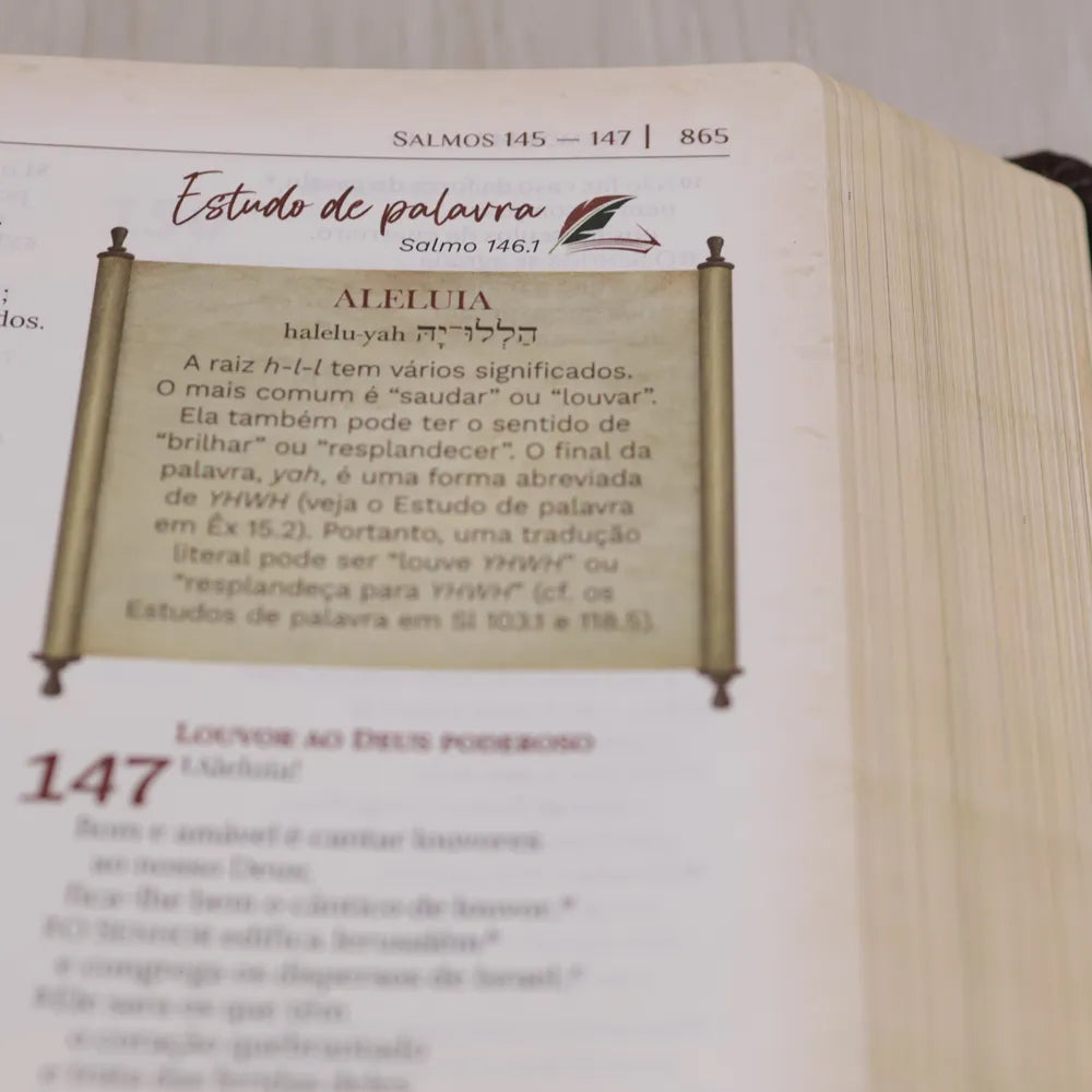 Bíblia de Estudo Igreja Primitiva NAA Capa Luxo Marrom Salmo