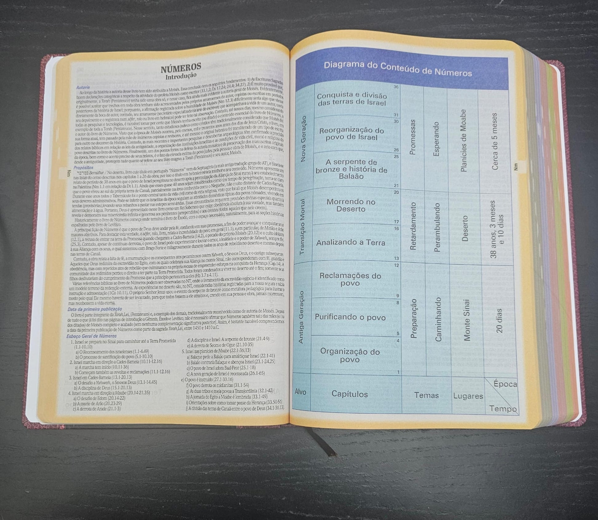 Bíblia de Estudo King James Atualizada  Full Collor  Capa Dura Números