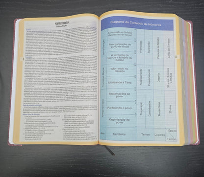 Bíblia de Estudo King James Atualizada  Full Collor  Capa Dura Números