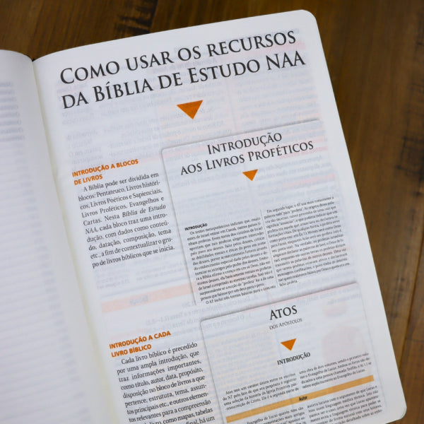 Bíblia de Estudo NAA Tamanho Portátil Capa Luxo Azul Introdução