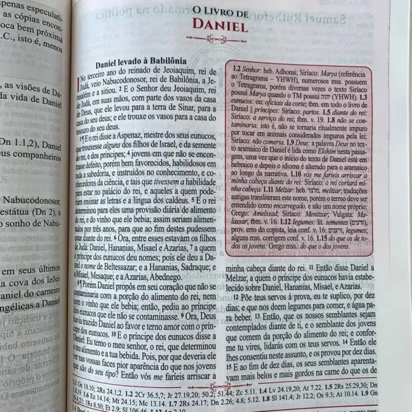 Bíblia de Estudo Reformadores KJF Letra Normal Capa Luxo Caramelo Daniel