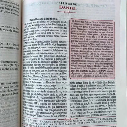 Bíblia de Estudo Reformadores KJF Letra Normal Capa Luxo Preta Daniel