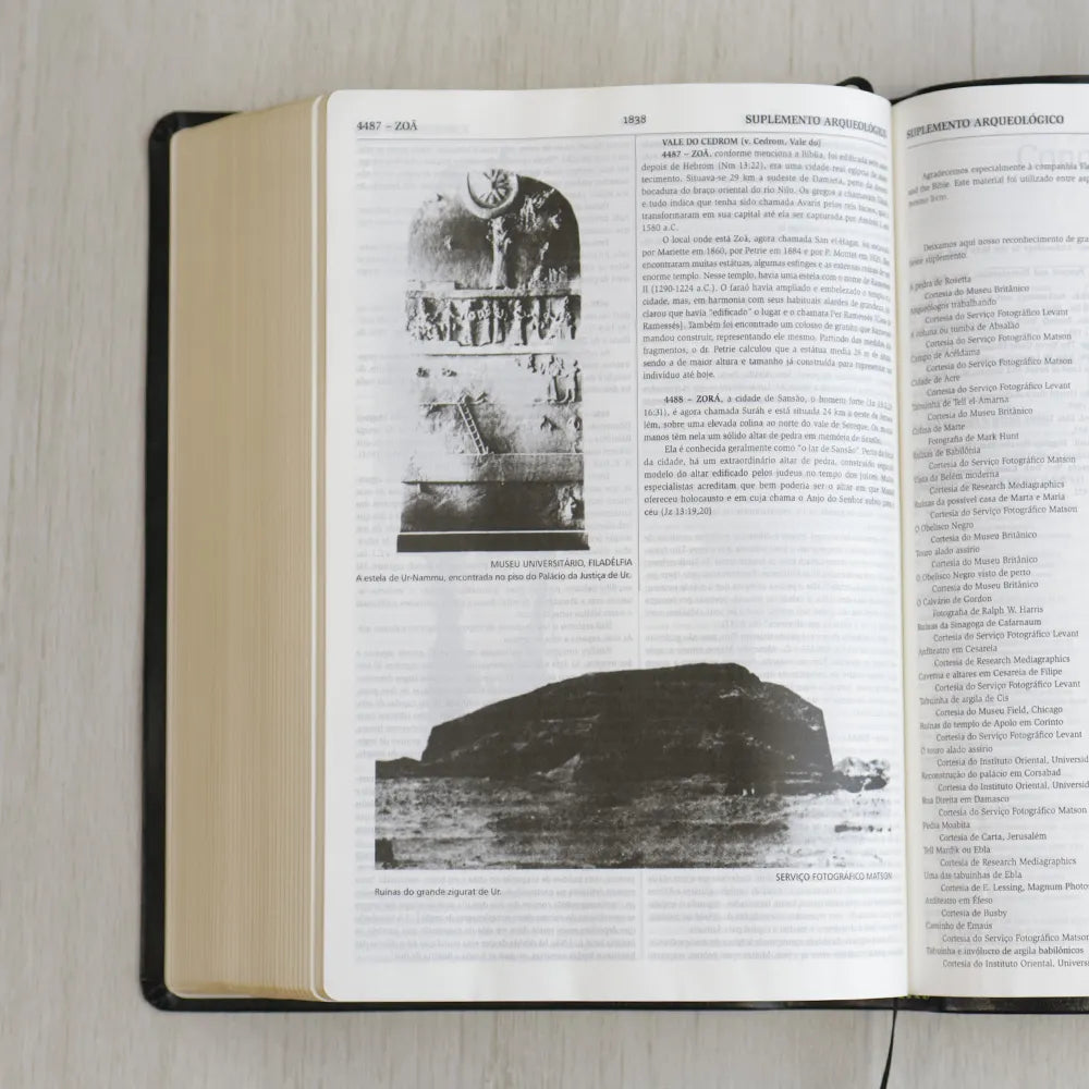 biblia de estudo thompson letra grande preta luxo imagem