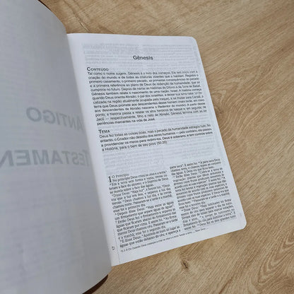 Bíblia do Homem NVI Letra Grande Capa Luxo Marrom Interior