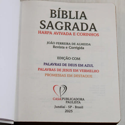 Bíblia Sagrada ARC Harpa Avivada e Corinhos Jumbo Capa Dura Pássaros  destaque