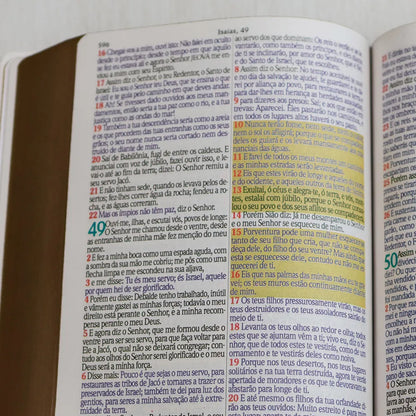 Bíblia Sagrada ARC Harpa Avivada e Corinhos Jumbo Capa Dura Pássaros texto