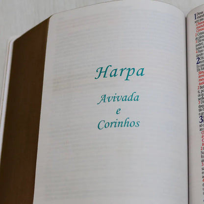 Bíblia Sagrada ARC Harpa Avivada e Corinhos Jumbo Capa Dura Pássaros harpa