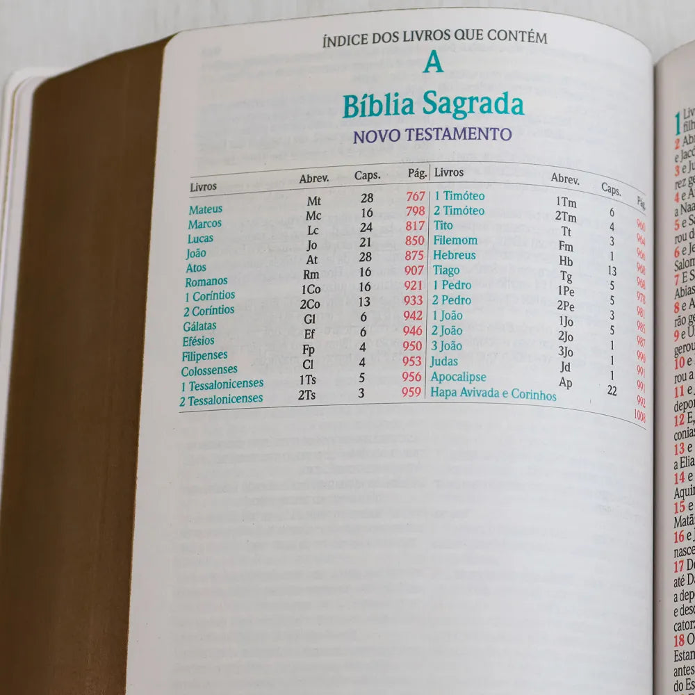 Bíblia Sagrada ARC Harpa Avivada e Corinhos Jumbo Capa Dura Pássaros índice