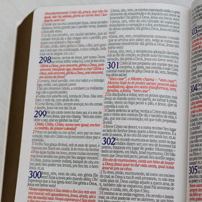 Bíblia Sagrada ARC Harpa Avivada e Corinhos Jumbo Capa Dura Pássaros texto harpa