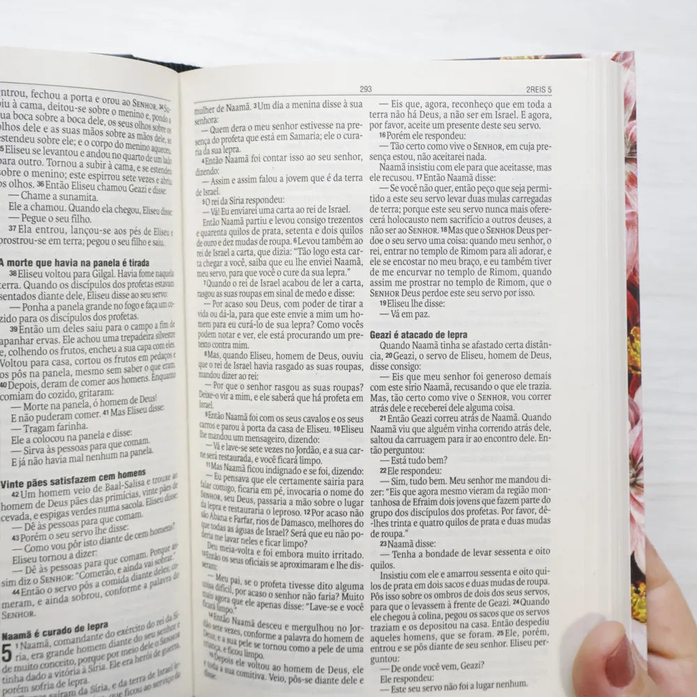 Bíblia Sagrada Crisântemo NAA Letra Normal Capa Dura letra