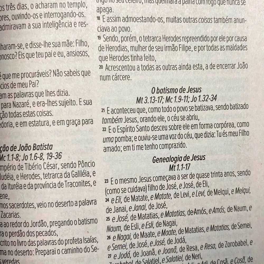 Bíblia Sagrada Flores ARC Letra Normal Capa Brochura Letra