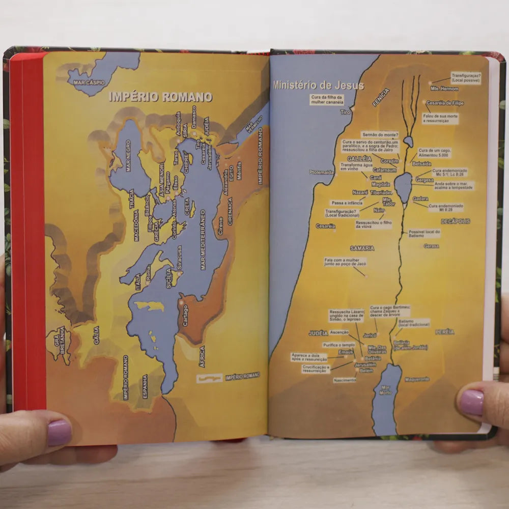 Bíblia Sagrada Flores do Campo NVT Letra Grande Capa Dura mapa

