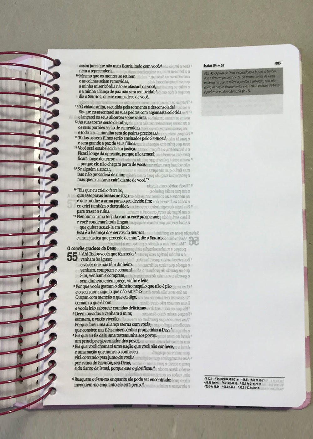 Bíblia Sagrada Jornada Espiral NAA Capa Flores Letra