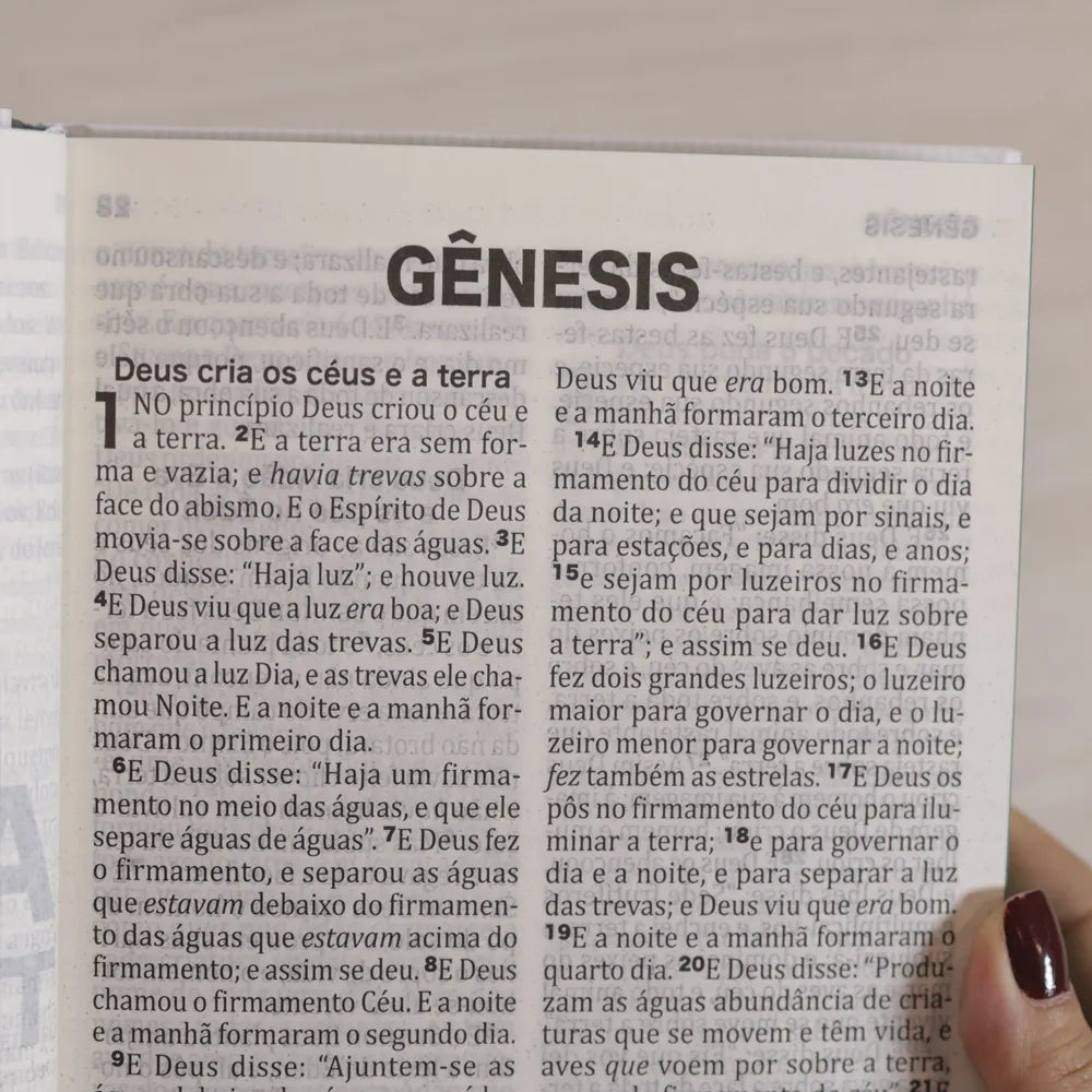 Bíblia Sagrada King James Letra Extra Grande Capa Dura Modelo Vida letra