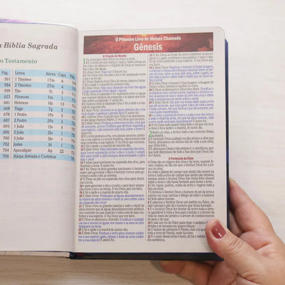 Bíblia Sagrada Leão Consumado ARC Letra Maior Harpa e Corinhos Capa Dura genesis