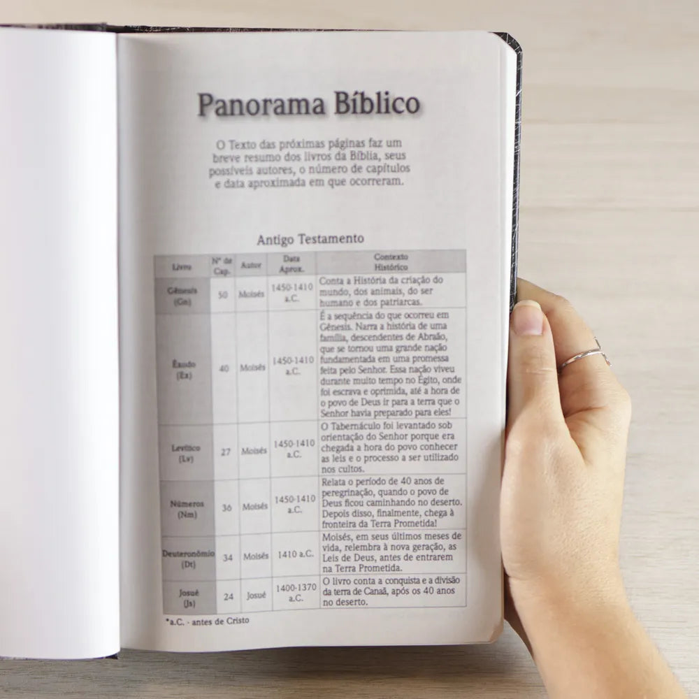 Bíblia Sagrada Leão Yahweh NVI Letra Grande Capa Dura panorama