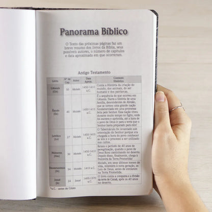 Bíblia Sagrada Leão Yahweh NVI Letra Grande Capa Dura panorama