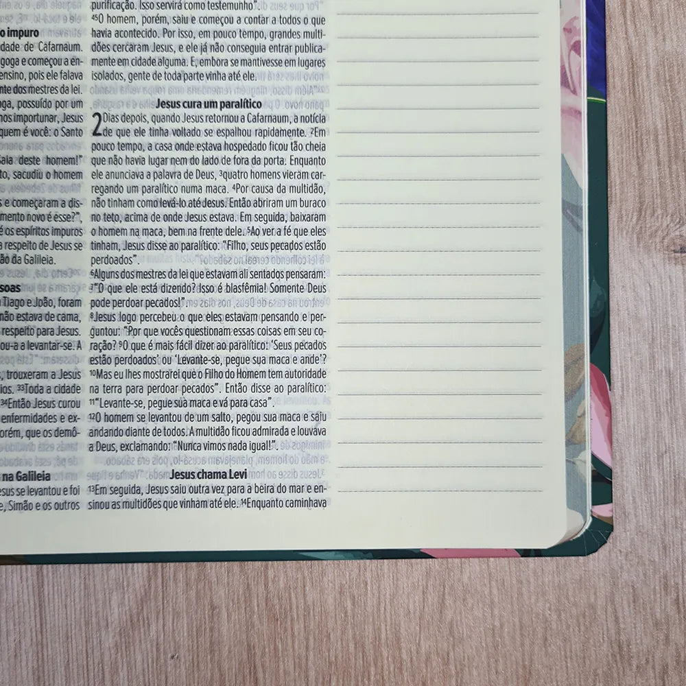 Bíblia Sagrada Leia e Anote NVT Letra Normal Capa Dura Encanto da Tarde anotações