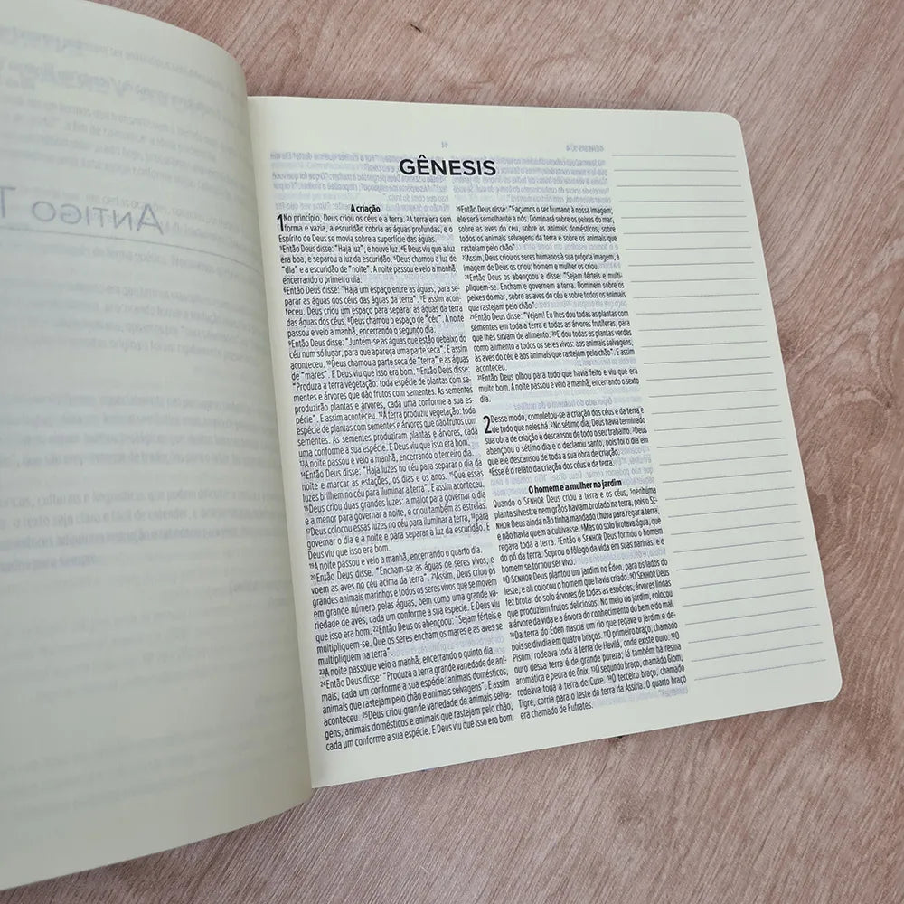 Bíblia Sagrada Leia e Anote NVT Letra Normal Capa Dura Encanto da Tarde letra