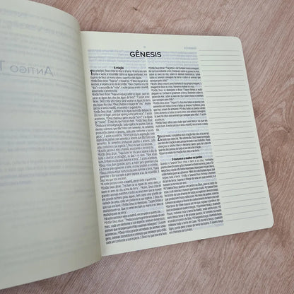Bíblia Sagrada Leia e Anote NVT Letra Normal Capa Dura Encanto da Tarde letra